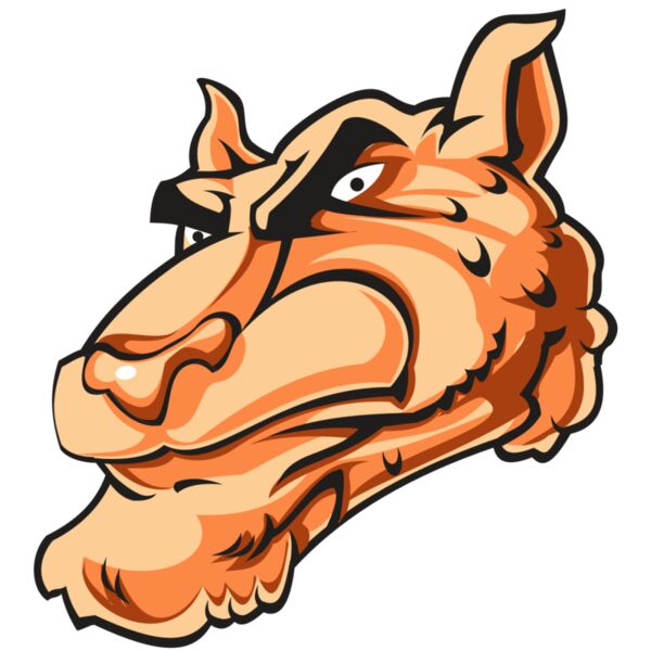 CHEETAH HD0502 RQC Thumbnail